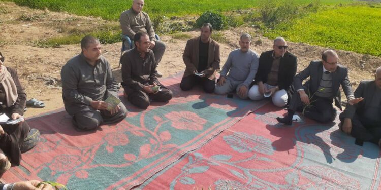 «زراعة الإسماعيلية»: جولات مكثفة للإدارات لتوعية المزارعين وحصر أرصدة الجمعيات 1 زراعة الإسماعيلية