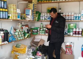 زراعة البحيرة