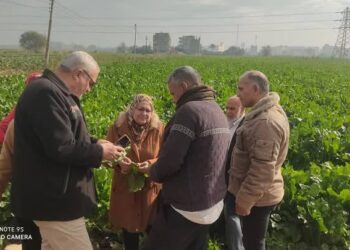 زراعة الدقهلية