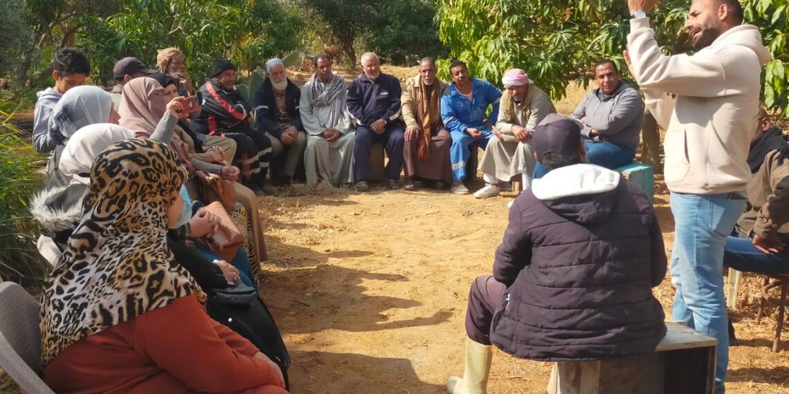 زراعة السويس