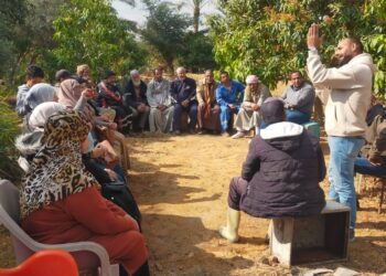 زراعة السويس