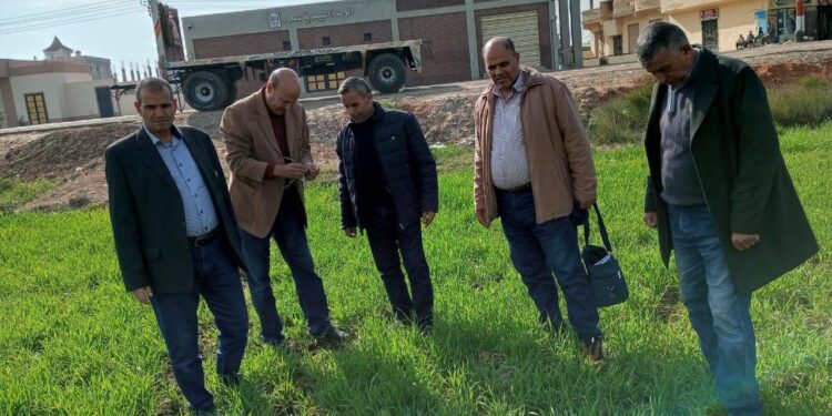 «زراعة الشرقية» توصي المزارعين بمكافحة الحشائش والمتابعة المستمرة للزراعات لمواجهة التغيرات المناخية 1 زراعة الشرقية