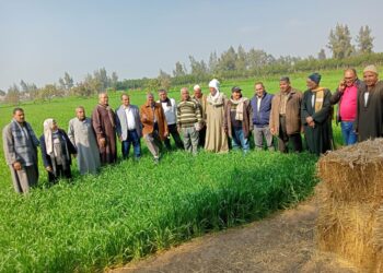 زراعة الشرقية