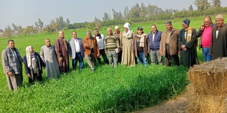 «زراعة الشرقية»: بدء فعاليات دورة مطبقي المبيدات..وندوة إرشادية للمحاصيل الشتوية 1 زراعة الشرقية