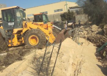 زراعة الشرقية