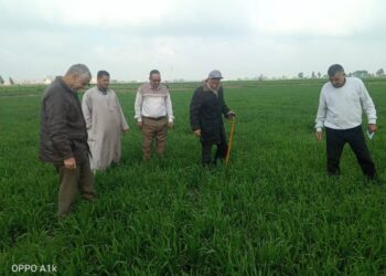 زراعة الشرقية