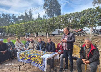 زراعة الشرقية