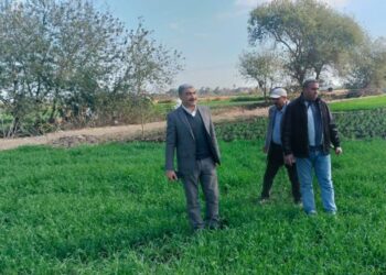 زراعة الغربية