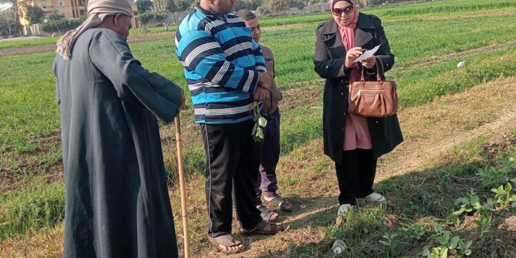 4 فريق إرشادية للمحاصيل الشتوية بـ«زراعة الفيوم» 1 زراعة الفيوم