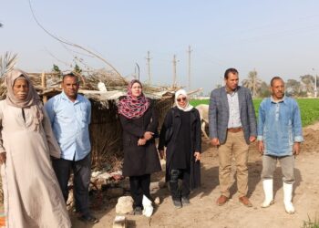 زراعة الفيوم