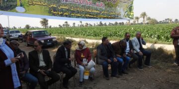 «زراعة الفيوم»:تنفذ يوم حقل لمكافحة دودة ورق القطن بمحصول بنجر السكر 6 زراعة الفيوم