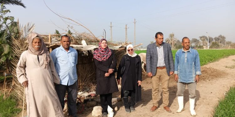 زراعة الفيوم