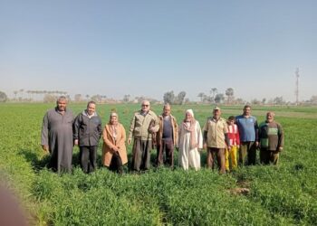 زراعة القليوبية