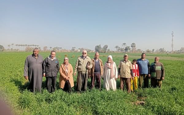 «زراعة القليوبية»: 6 توصيات فنية لمحصول القمح..وإزالة 3 حالات تعدي 1 زراعة القليوبية