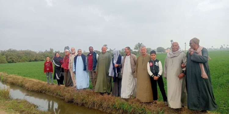 «زراعة القليوبية»: إزالة 9 حالات تعدي ..وفرق إرشادية لمحصول القمح 1 زراعة القليوبية