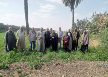 زراعة القليوبية