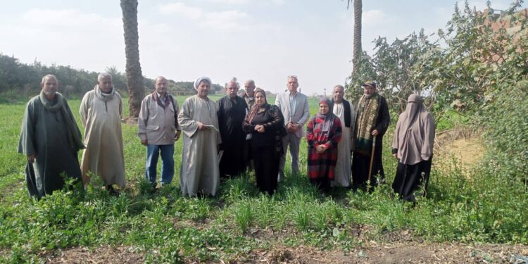 زراعة القليوبية