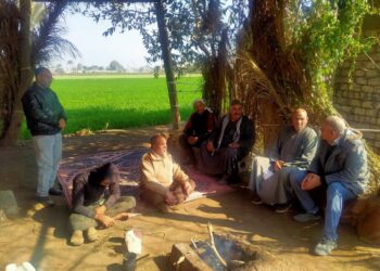 زراعة القليوبية