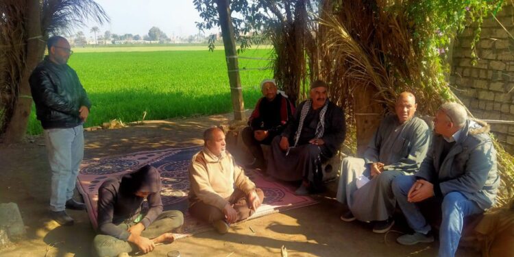 «زراعة القليوبية»: 3 ندوات إرشادية للقمح و رعاية النحل وتربية الماشية 1 زراعة القليوبية