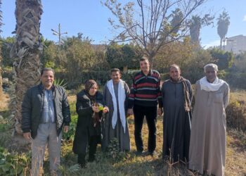 زراعة المنيا