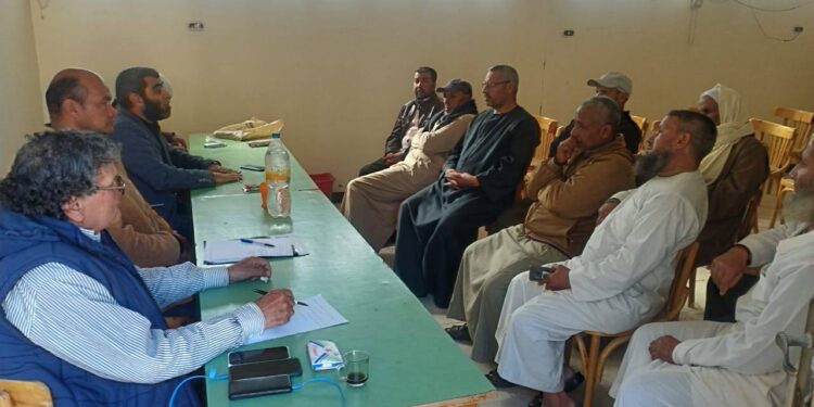 زراعة النوبارية