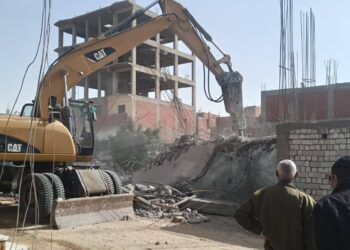 زراعة بني سويف