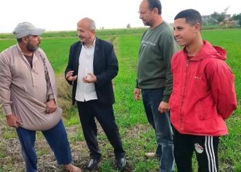 زراعة بورسعيد