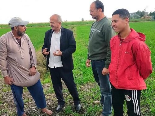 ـ«زراعة بورسعيد»: توصي المزارعين بعدم شراء مبيدات مجهولة المصدر 1 زراعة بورسعيد
