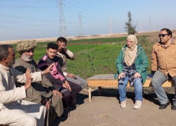 زراعة بورسعيد