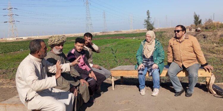 «زراعة بورسعيد»: 7 توصيات لمحصول القمح.. وفحص وعلاج زراعات البنجر 1 زراعة بورسعيد