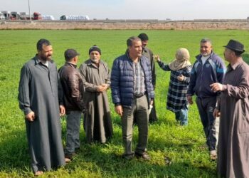 زراعة بورسعيد