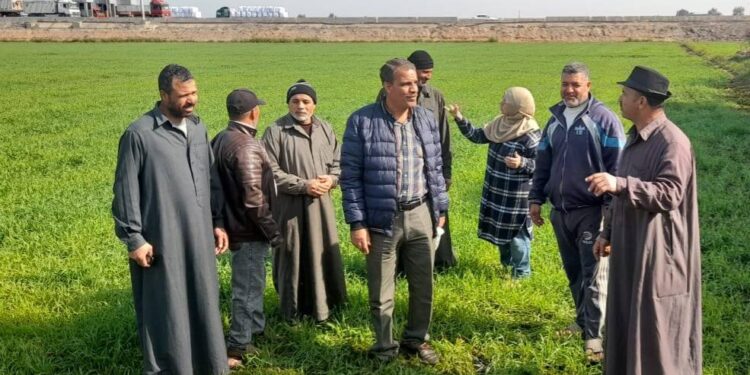 زراعة بورسعيد