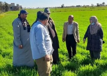 زراعة بورسعيد