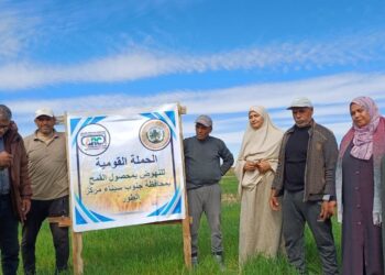 زراعة جنوب سيناء