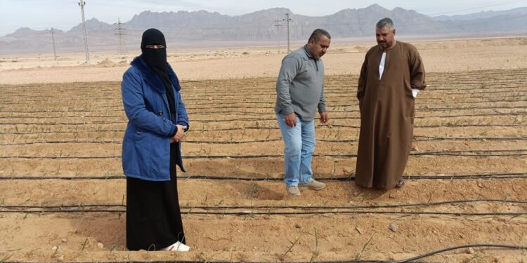 «زراعة جنوب سيناء»:معاينة التجمعات الجديدة لإستخراج كارت الفلاح..وفريق إرشادي للتسميد 1 زراعة جنوب سيناء