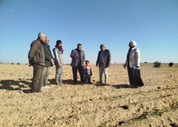 زراعة شمال سيناء