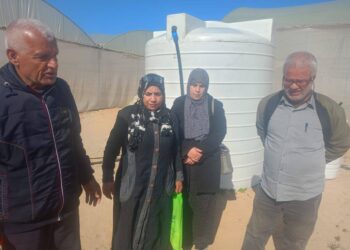 زراعة شمال سيناء