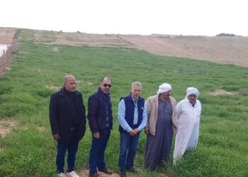 زراعة شمال سيناء