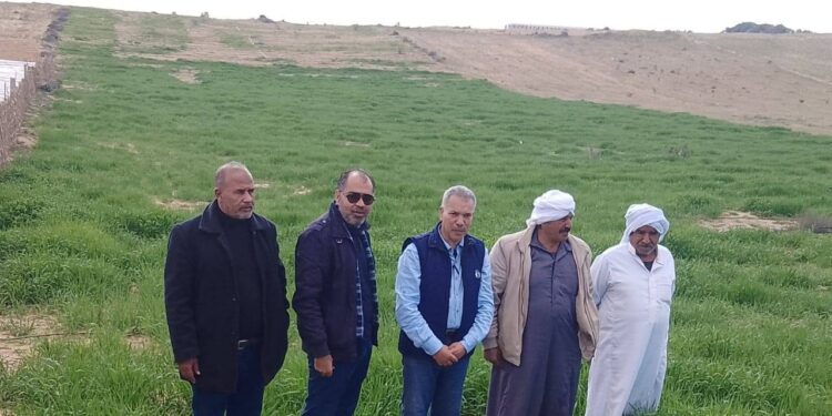 «زراعة شمال سيناء»:تعقد ندوة حقلية عن محصول الشعير وتقوم بالمرور على الحقول الإرشادية 1 زراعة شمال سيناء