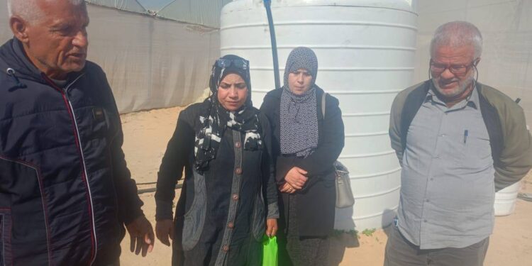 «زراعة شمال سيناء» تزيل النخيل المصاب بالسوسة.. وتفحص زراعات الخضار والفاكهة 1 زراعة شمال سيناء