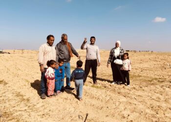 زراعة شمال سيناء