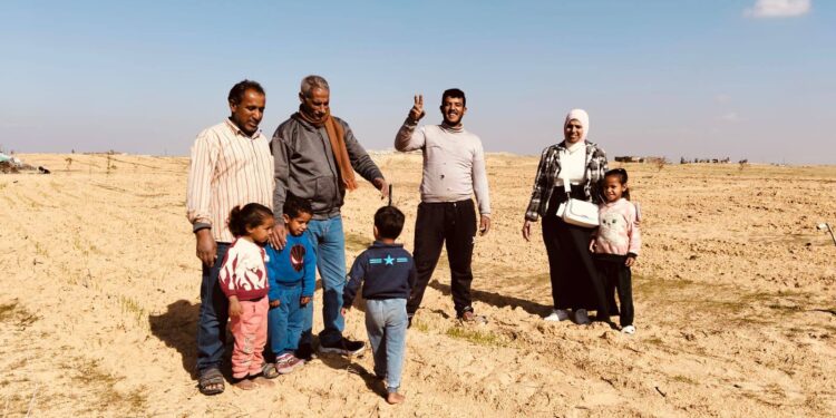 زراعة شمال سيناء