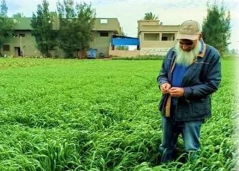 عبدالسلام المنشاوي