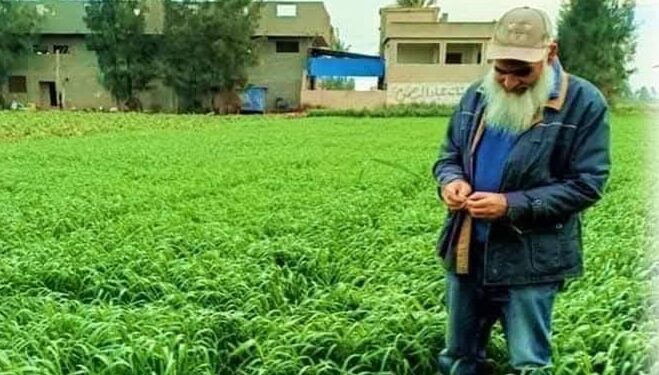 د. علاء عزوز والعاملون بقطاع الإرشاد الزراعي ينعون د. عبدالسلام المنشاوي 1 عبدالسلام المنشاوي