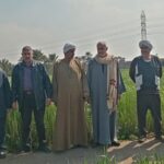 «زراعة الشرقية» تبحث مع «الري» تحديد مساحات الأرز بالإدارات الزراعية لموسم 2025 12 زراعة الشرقية
