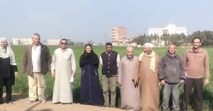 4 فرق إرشادية للتوعية بأهم التوصيات الفنية للمحاصيل الشتوية بـ«زراعة الشرقية »