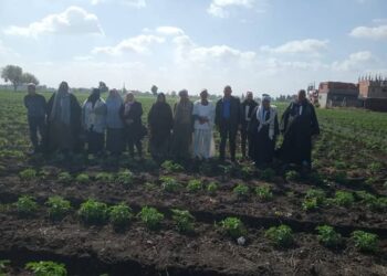 زراعة الشرقية