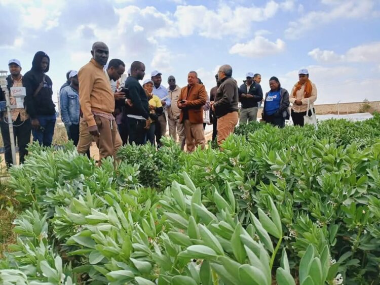 وزير الري يتابع موقف الأنشطة والبرامج التدريبية التي ينظمها “مركز التدريب الإقليمى للمياه والتكيف المناخي”