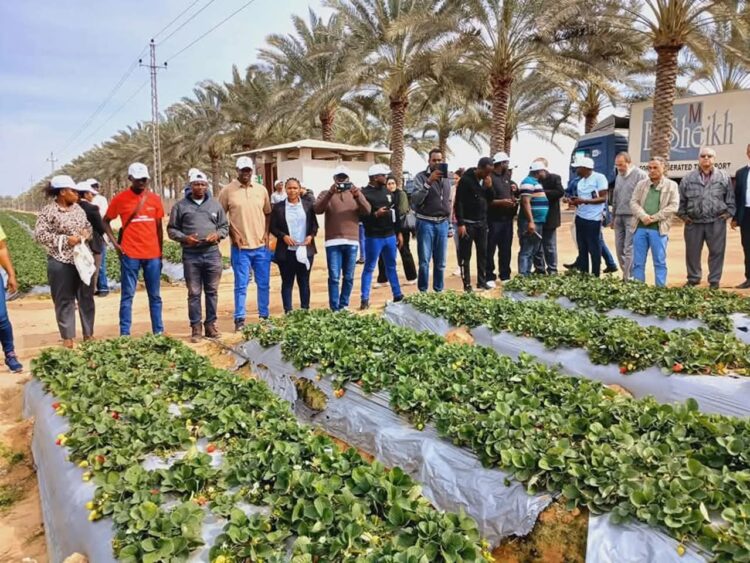 وزير الري يتابع موقف الأنشطة والبرامج التدريبية التي ينظمها “مركز التدريب الإقليمى للمياه والتكيف المناخي”