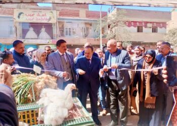 زراعة أسيوط